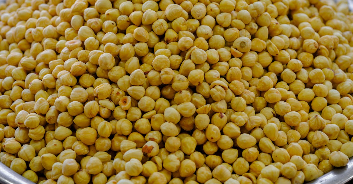 découvrez tout ce que vous devez savoir sur le cholestérol : ses types, ses effets sur la santé, des conseils pour le réguler et des astuces pour adopter une alimentation équilibrée. protégez votre cœur et améliorez votre bien-être avec nos conseils experts.