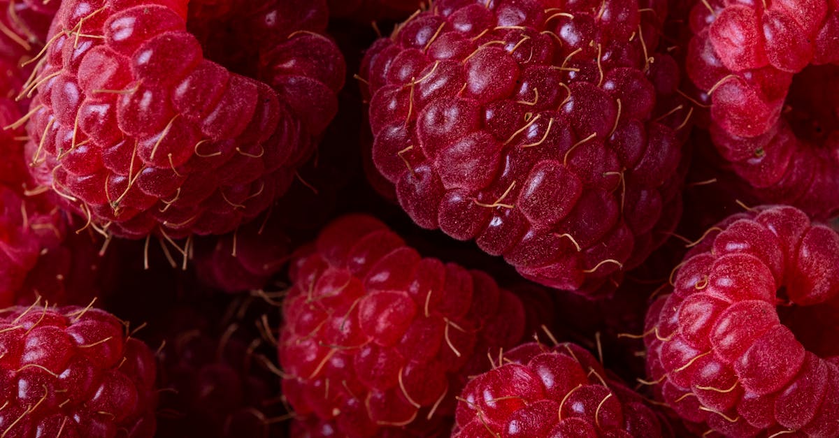 découvrez les multiples bienfaits pour la santé, allant de l'amélioration du bien-être général à la prévention des maladies. apprenez comment une alimentation équilibrée, l'exercice régulier et des habitudes de vie saines peuvent transformer votre quotidien et renforcer votre vitalité.