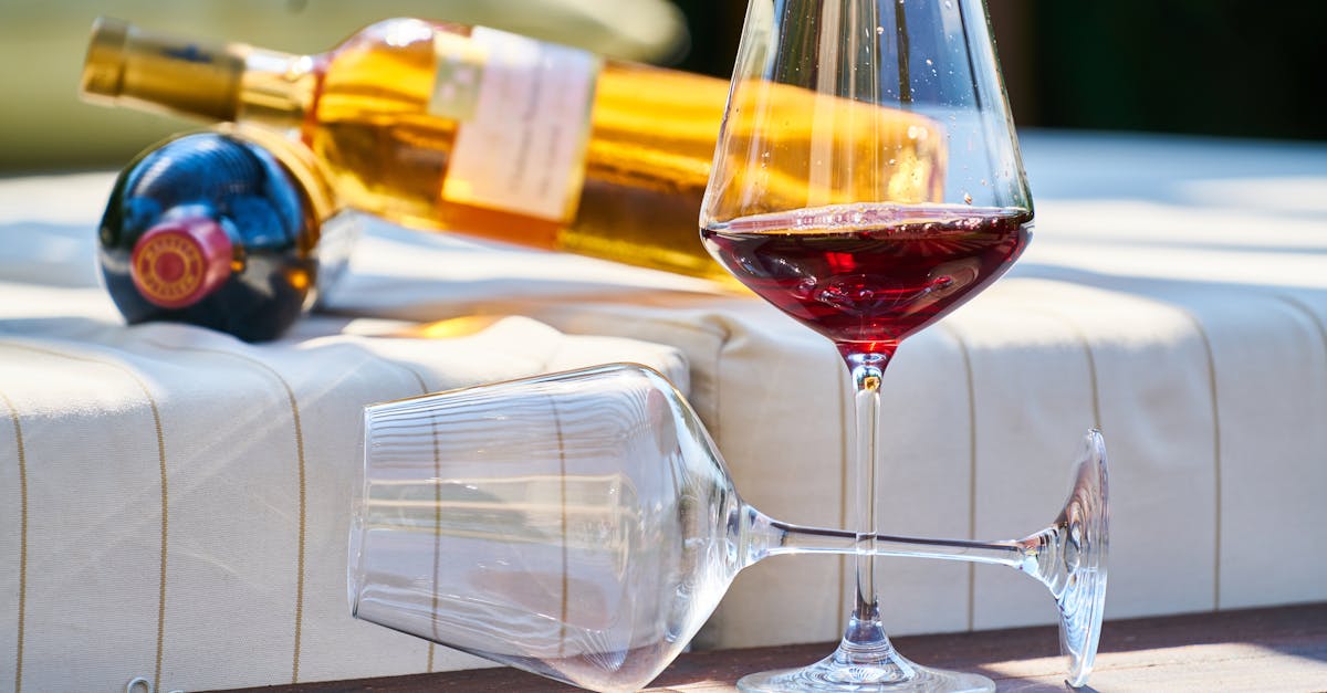 🍷 Pinot Noir: a lighter, fruitier option