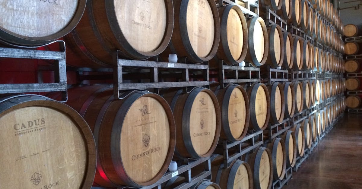 découvrez l'univers fascinant du vin avec notre guide complet. explorez les régions viticoles, les cépages, et les accords mets-vins qui sublimeront vos repas. que vous soyez un amateur ou un connaisseur, plongez dans l'art de la vinification et laissez-vous envoûter par les saveurs et arÎmes inoubliables du vin.