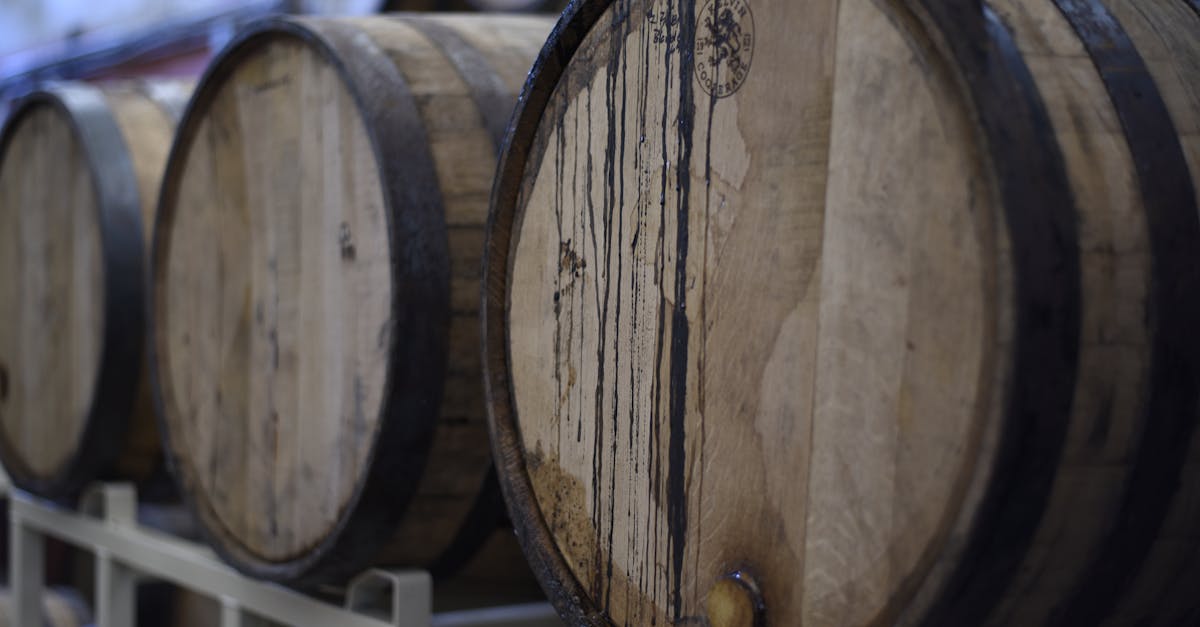 dĂ©couvrez l'univers fascinant du vin : variĂ©tĂ©s, accords mets et vins, conseils de dĂ©gustation et histoire des vignobles. plongez dans la culture viticole et enrichissez votre expĂ©rience Ćnologique.