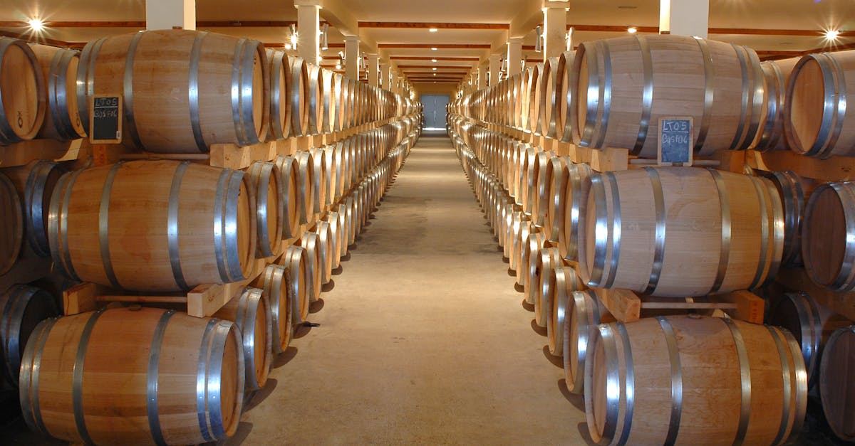 découvrez l'univers des vins de bordeaux, des crus prestigieux aux appellations emblématiques. que vous soyez amateur ou connaisseur, explorez la richesse des terroirs, les cépages renommés et les accords mets-vins parfaits pour sublimer vos repas.