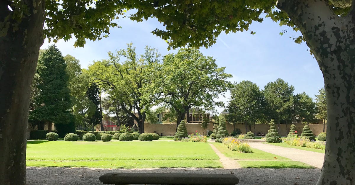 Da biste postigli cilj kada su u pitanju vina Coteaux d'Aix-en-Provence, prvo morate razumjeti različite tipologije u ponudi, ali i znati kako ih upariti sa svojim jelima kako biste zaista oduševili svoje oči tokom obroka ili degustacije bez ikakvih problema.