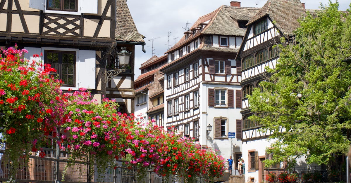 Domaine Gérard Schueller