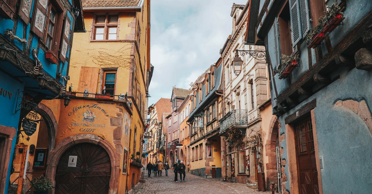 Alsace Kırmızı Şarapları Hakkında Sıkça Sorulan Sorular 🍷❓