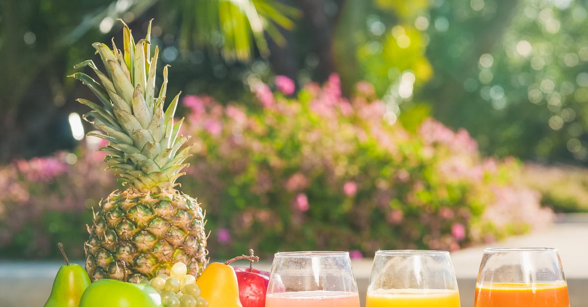 découvrez les cépages emblématiques de l'alsace, région viticole réputée pour ses vins d'exception. explorez les caractéristiques uniques de chaque variété, de l'gewurztraminer au riesling, et apprenez comment ils influencent le goût et le style des vins alsaciens.