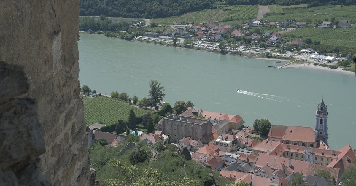 découvrez l'univers fascinant des vins d'alsace, où des traditions séculaires et des cépages uniques s'entrelacent pour offrir des saveurs exceptionnelles. plongez dans les terroirs enchanteurs de cette région viticole, connue pour ses vins blancs aromatiques et ses paysages pittoresques. explorez les meilleurs conseils de dégustation, les visites de caves et les accords mets-vins pour apprécier pleinement l'alsace.
