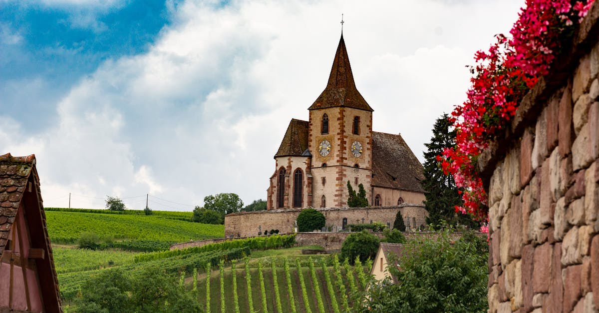 découvrez l'alsace et ses vins d'exception, alliant tradition et savoir-faire. plongez dans l'univers des cépages uniques, des paysages viticoles époustouflants et des saveurs authentiques qui font la renommée de cette région viticole en france.