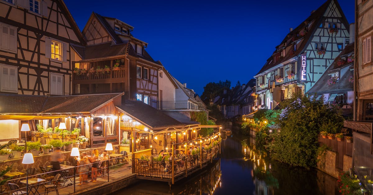 Compreendendo os Bastidores do Processo de Vinificação