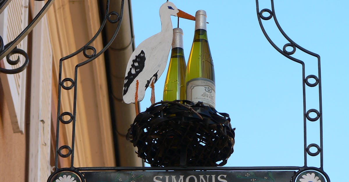 découvrez l'univers des vins d'alsace, une région viticole renommée pour ses vins blancs exquis, ses paysages pittoresques et ses traditions séculaires. explorez les cépages uniques comme le riesling, le gewurztraminer et le pinot gris, et laissez-vous séduire par la richesse et la diversité des saveurs alsaciennes.