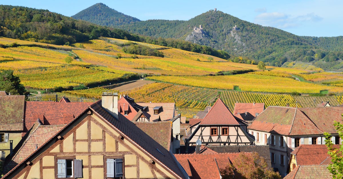 Foie gras, strong cheeses, fruity desserts