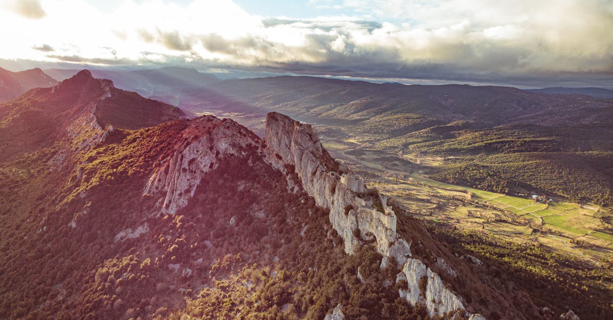 découvrez les aoc corbières, une appellation viticole emblématique du sud de la france. plongez dans l'univers des vins riches et aromatiques, issus de terroirs variés, offrant une palette de saveurs unique. idéal pour les amateurs de vins authentiques et gourmets.