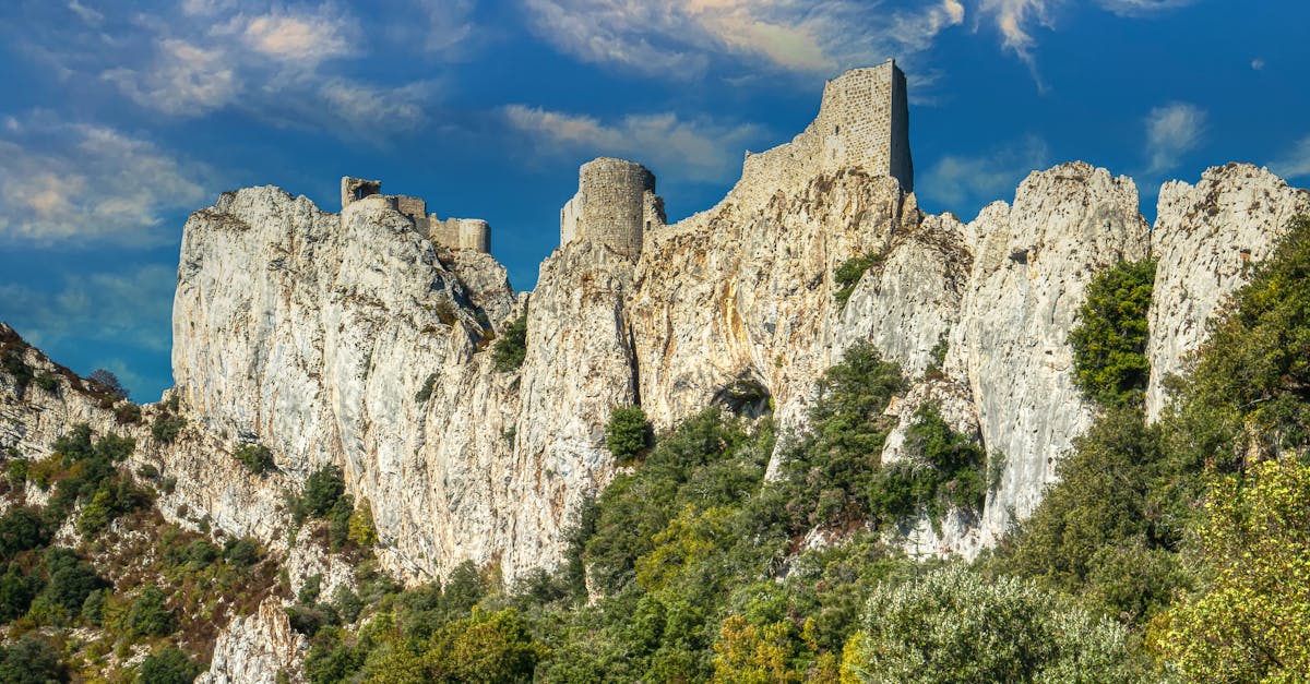 découvrez l'aoc corbières, une appellation viticole du languedoc riche en saveurs et en traditions. explorez ses vins robustes et fruités, produits sur des terrasses ensoleillées, et laissez-vous séduire par la diversité de ce terroir unique.