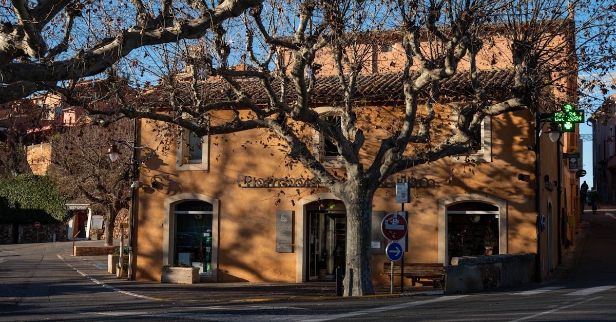 découvrez l'aoc côtes du roussillon, une appellation viticole reconnue pour ses vins riches et parfumés, issus des terroirs ensoleillés du sud de la france. explorez la diversité des cépages et savourez des expériences gustatives uniques.