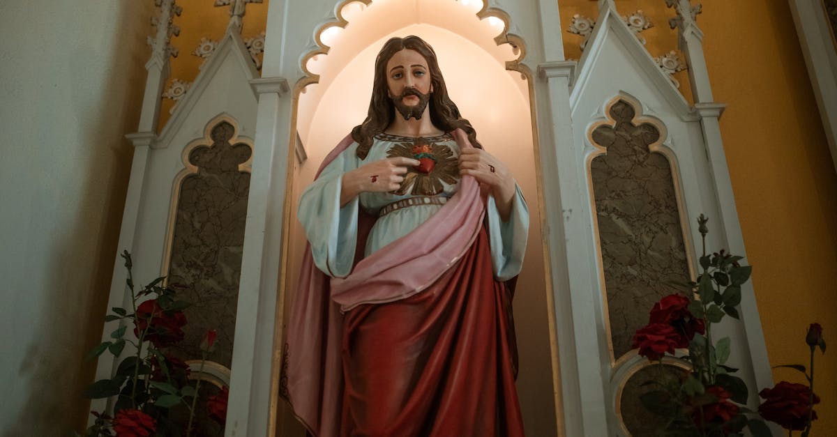 découvrez l'appellation d'origine contrôlée (aoc) pic saint loup, un vignoble d'exception du languedoc. explorez ses terroirs, ses cépages uniques et savourez des vins élégants aux arômes de fruits mûrs et d'épices. parfait pour les amateurs de vins raffinés et de gastronomie!