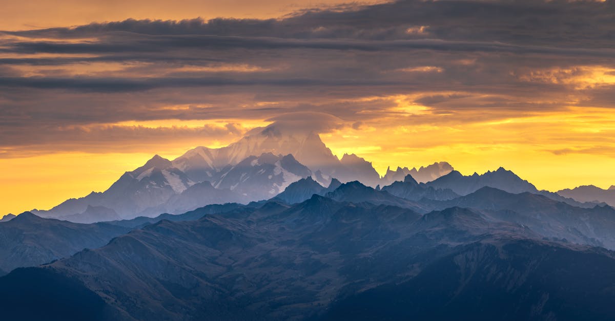 Aperitivos Festivos: