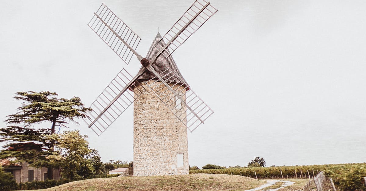 Откройте для себя Бордо, культовый город вина и архитектуры, с его оживленными набережными, великолепными площадями и богатой гастрономией. Изучите его историю, знаменитые виноградники и насладитесь незабываемыми впечатлениями в самом сердце этого французского мегаполиса.