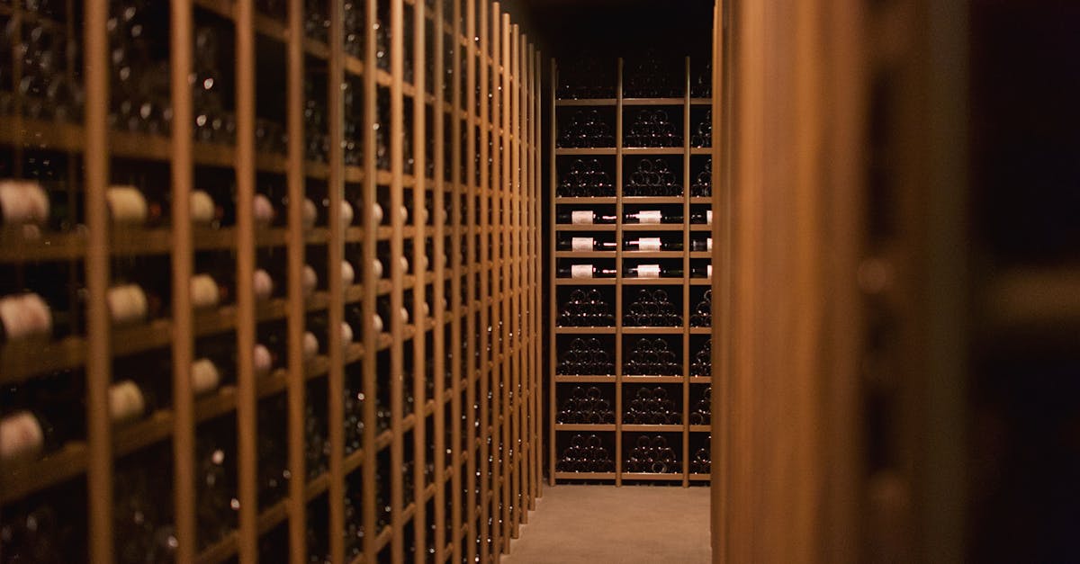 Across the various Bordeaux appellations, these grape varieties are blended to balance freshness, richness, and complexity. Typically, we recommend a dry white Bordeaux with around 70% Sauvignon Blanc, 20-25% Sémillon, and a hint of Muscadelle. For sweet wines, the Sémillon content is often higher, allowing the wine to age well and become a delightful treat. To save time, consult this guide to Bordeaux wine types to quickly identify the best blends. 🍾 Sauvignon Blanc dominant: fresh wines, for aperitifs or fish