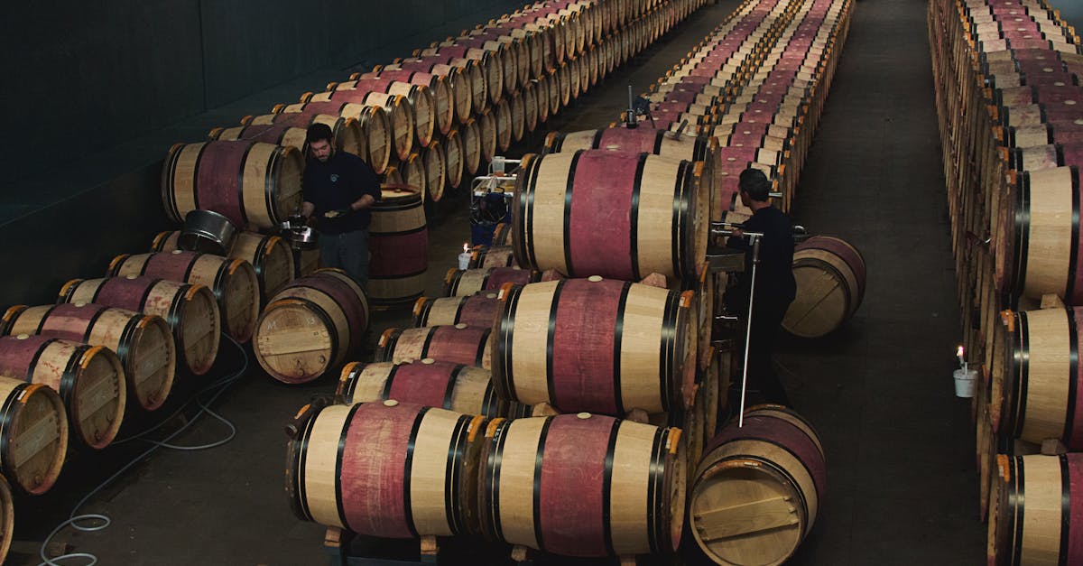 Desarrollo de aromas y taninos en vinos tintos