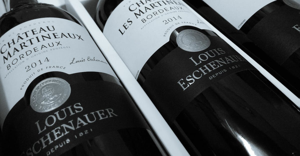 découvrez l'art de la dégustation des vins de bordeaux, une expérience sensorielle unique qui vous plonge au cœur des terroirs renommés. explorez les arômes raffinés et les saveurs complexes des vins bordelais, tout en apprenant des techniques de dégustation et l'histoire de cette région viticole prestigieuse.
