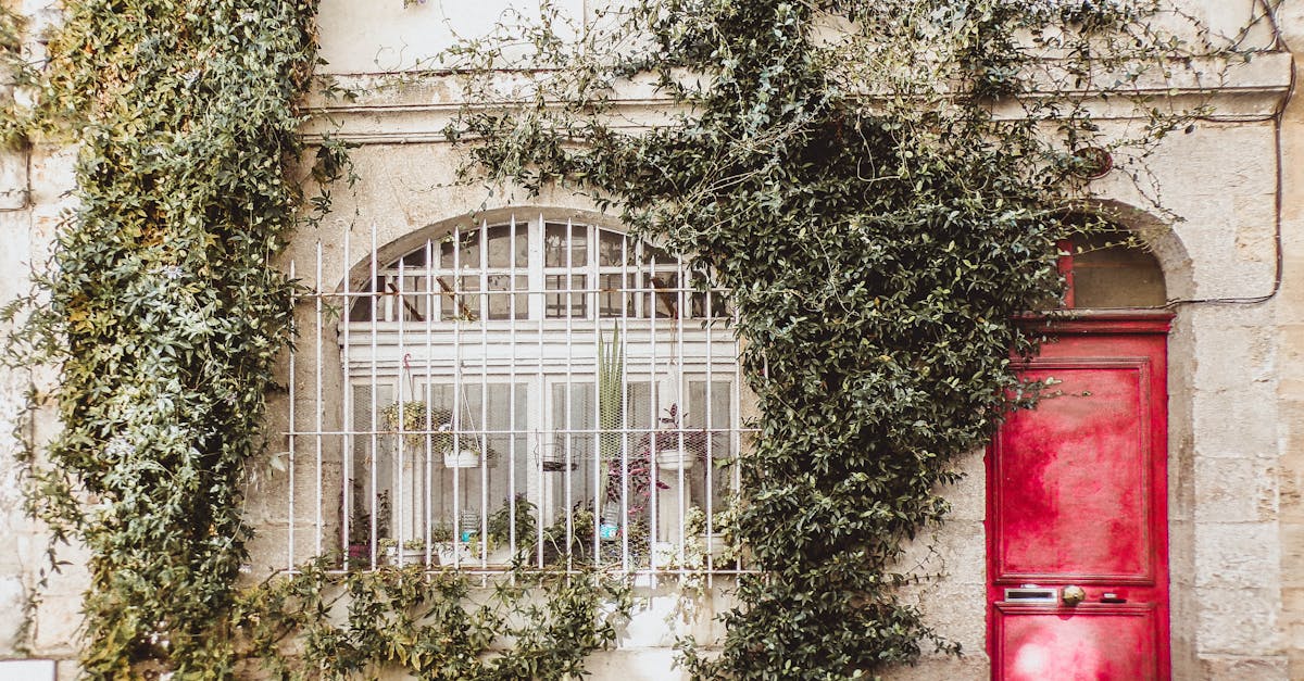 découvrez bordeaux, une ville de charme où l'histoire rencontre l'élégance. explorez ses magnifiques quais, ses vignobles renommés et sa cuisine savoureuse. laissez-vous séduire par le patrimoine architectural de cette magnifique destination.