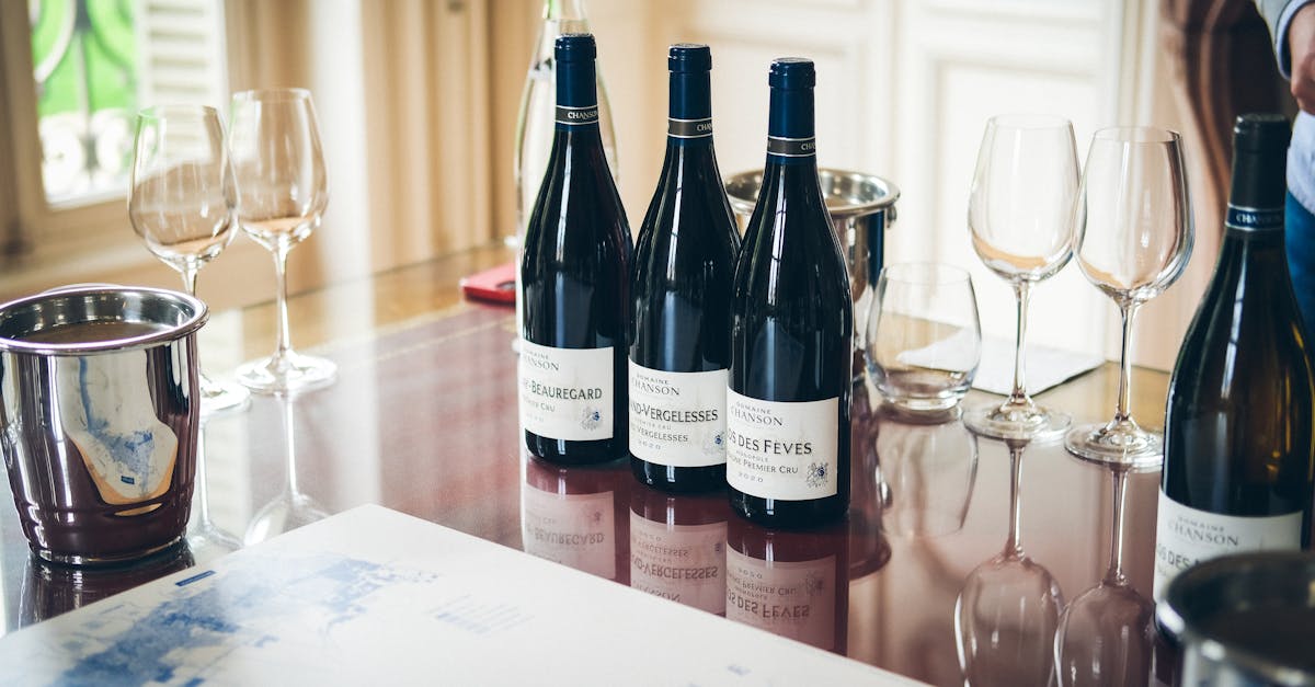 découvrez les arômes envoûtants des vins de bourgogne, où chaque gorgée révèle des notes subtils de fruits rouges, d'épices et de terroir. plongez dans l'univers aromatique des meilleurs crus bourguignons et laissez-vous séduire par leur complexité et leur élégance.