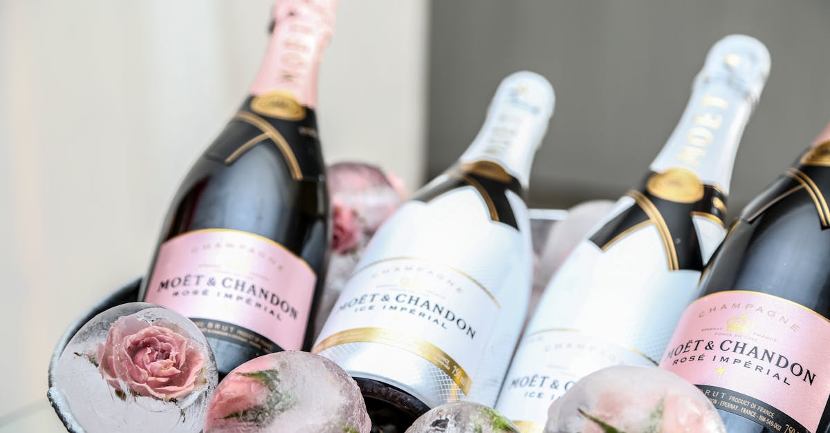 découvrez l'univers du champagne : un élixir de célébration, alliant tradition et savoir-faire. explorez nos sélections de champagnes raffinés, parfaits pour toutes les occasions, et laissez-vous séduire par les bulles d'exception qui éveille vos sens.