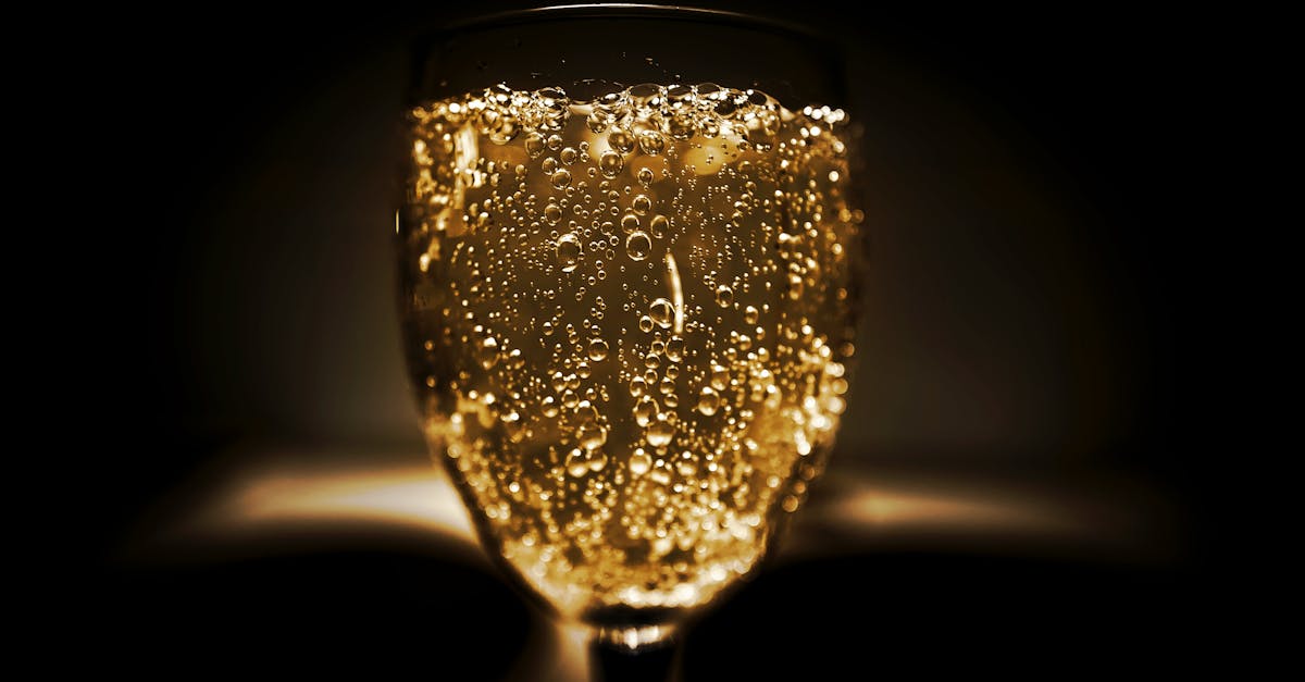 découvrez l'univers du champagne, cette boisson festive par excellence. explorez les différentes régions viticoles, apprenez sur les cépages et les méthodes de fabrication, et savourez les accords mets et champagnes pour célébrer chaque occasion avec élégance.
