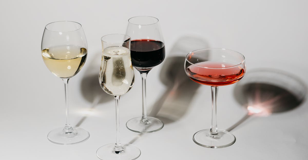 découvrez le chardonnay, un cépage emblématique du vin blanc, réputé pour ses arômes fruités et sa texture onctueuse. apprenez à apprécier ses nuances variées, des notes de pommes et de poires aux touches de vanille et de beurre, et explorez les différentes régions viticoles qui en produisent des cuvées exceptionnelles.