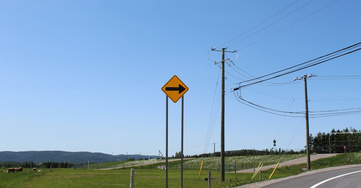 per bottle, perfect for a limited budget