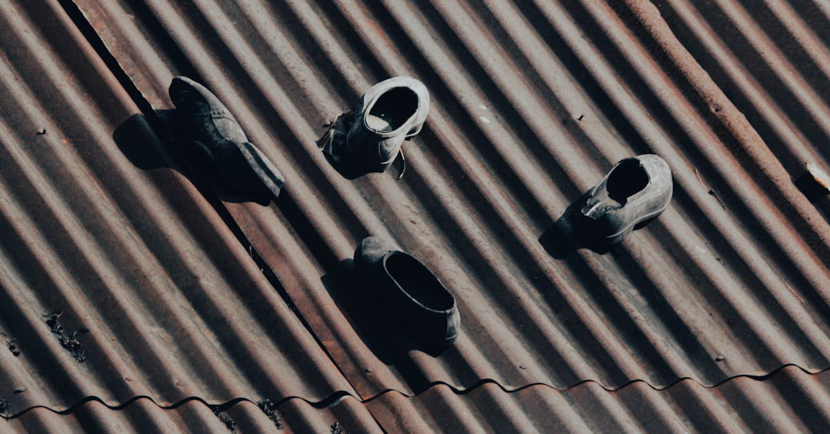 Azalan taleple karşı karşıya kalan Fransız şarap üreticileri zor bir gerçeklikle karşı karşıya. Özellikle Champagne ve Burgonya gibi bölgelerdeki Fransız şarap üretimi son yıllarda keskin bir düşüş yaşadı. Büyük çaplı söküm uygulaması yaygınlaştı ve bu da bağ alanlarında bir azalmaya yol açtı. Alsace ve Provence'tan şarap üretenler gibi bazı çiftlikler felaketten kaçınmak için stratejilerini gözden geçiriyor.