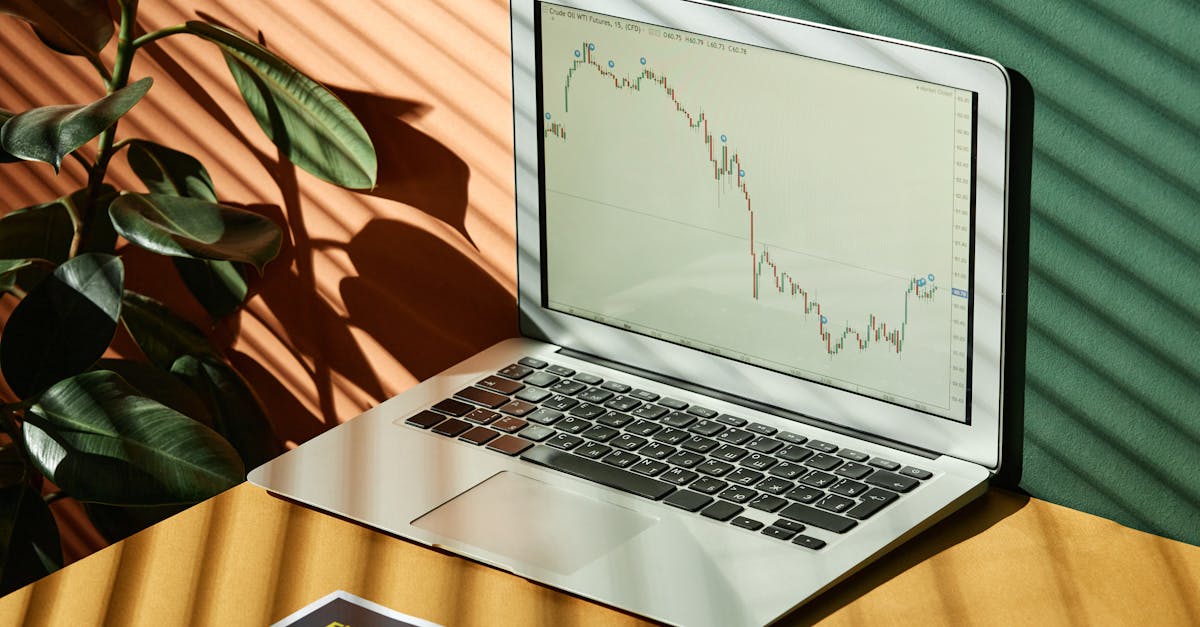 Şarap tüccarları bu değişimde önemli bir rol oynuyor. Bazen süpermarketlerden daha tüketiciye yakın olan bu tüccarlar, genellikle daha otantik şaraplar, özellikle organik şaraplar veya kısa tedarik zincirlerinden gelen şaraplar sunuyor. Birçok şarap tüccarı, geleneksel pazardaki düşüşe rağmen gelişmelerini sağlayan çevrimiçi satış veya eve teslimatla da denemeler yapıyor.