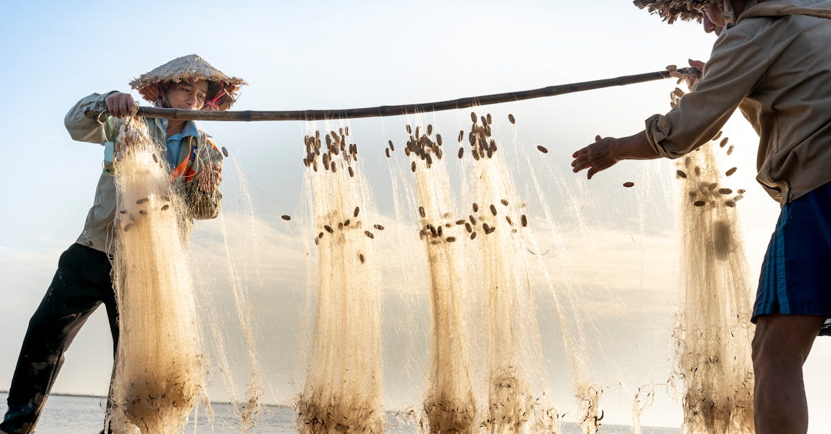 📈 ブルゴーニュとローヌ地方への限定的な拡大はありましたが、依然として全国的な例外として扱われています。