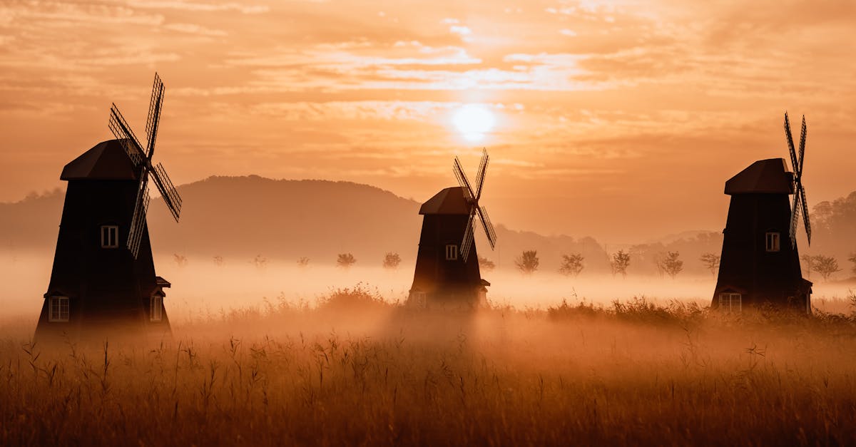 この話は少し大げさに聞こえるかもしれませんが、今日でもこれらの素晴らしいワインは、インテルマルシェやピカールといったチェーン店で棚の真ん中で見つけることができます。これらのブランドはグラン・クリュを重視しており、限定版のプリムールワインを提供することもあります。こうして、一般の人々は、限られた人員に頼ることなく、この事前購入の冒険を体験できるようになりました。