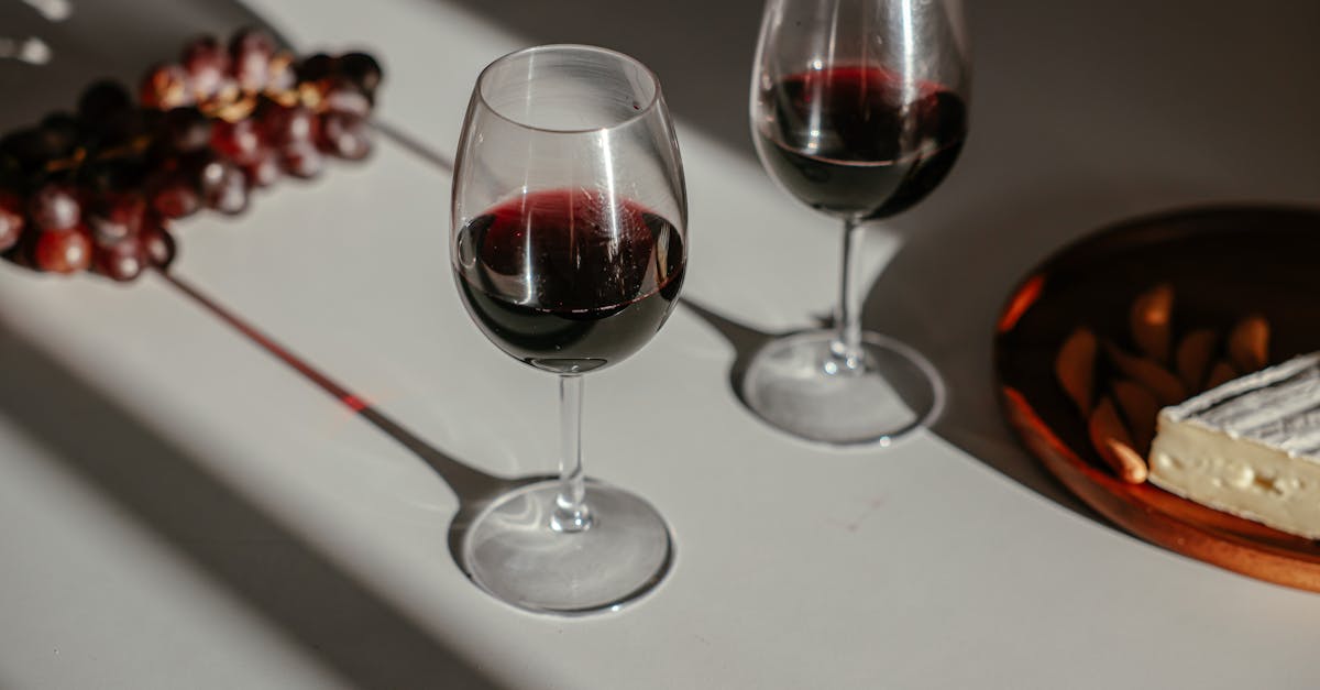 découvrez l'art d'associer mets et vins pour sublimer vos repas. explorez des conseils experts, des accords savoureux et des idées créatives pour harmoniser votre cuisine avec les meilleurs crus.