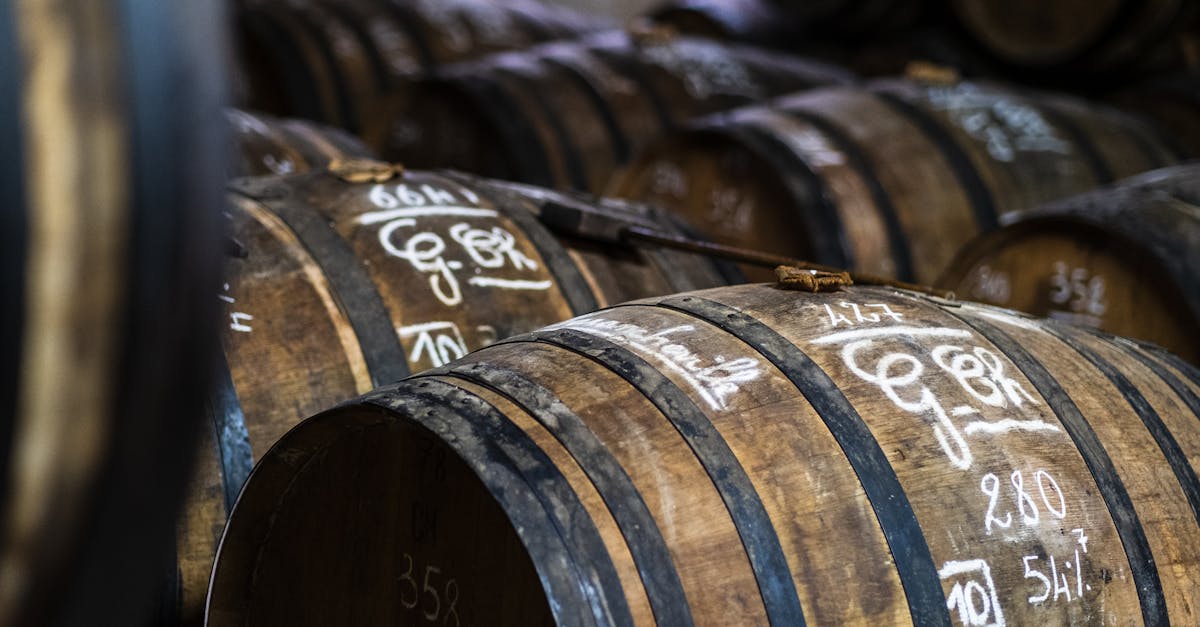 découvrez l'univers fascinant des vignerons français, artisans de vins d'exception. voyagez à travers les terroirs, les cépages et les traditions qui font la renommée des vins de france, tout en rencontrant les passionnés derrière chaque bouteille.