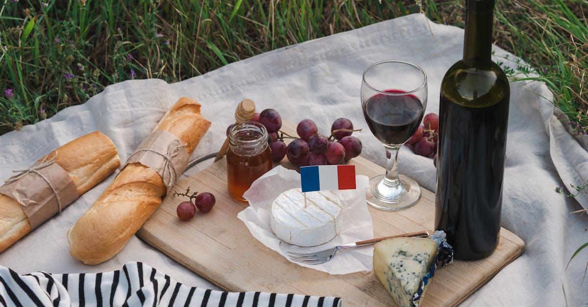 découvrez l'univers des vins français, riches en saveurs et en terroirs. explorez les régions viticoles emblématiques, les cépages uniques et les accords mets-vins pour une expérience gustative inoubliable.