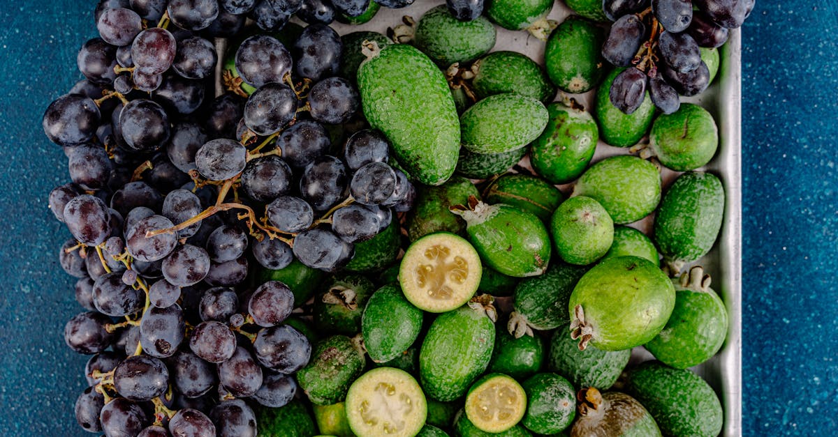 découvrez les différentes variétés de raisins, leurs caractéristiques uniques et leur impact sur les vins. apprenez comment chaque cépage influence le goût et l'arôme, et explorez les meilleures associations pour vos prochaines dégustations.