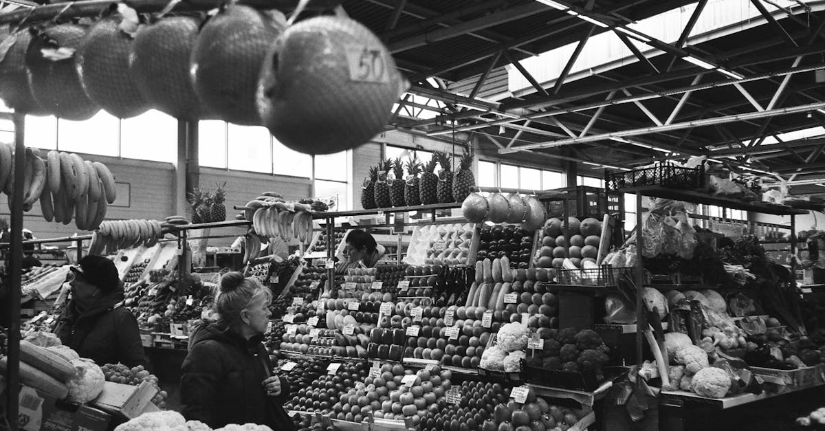 découvrez les différentes variétés de raisins et leur impact sur le vin. apprenez-en davantage sur les cépages populaires, leurs caractéristiques et comment ils influencent le goût et l'arôme des vins que vous appréciez.