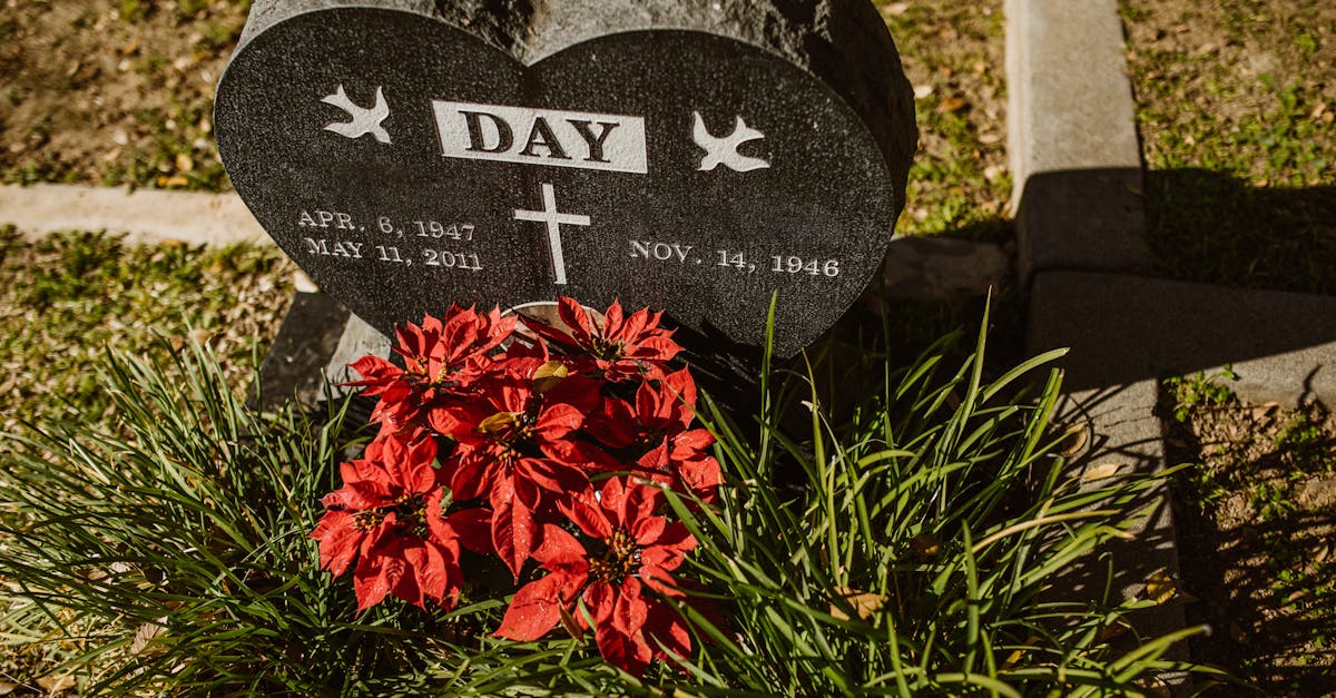 Das nahegelegene Château de Montesquieu in La Brède ist ein Muss für Geschichts- und Kulturliebhaber. Dort entdecken Sie das Leben und Werk dieses berühmten Philosophen der Aufklärung.