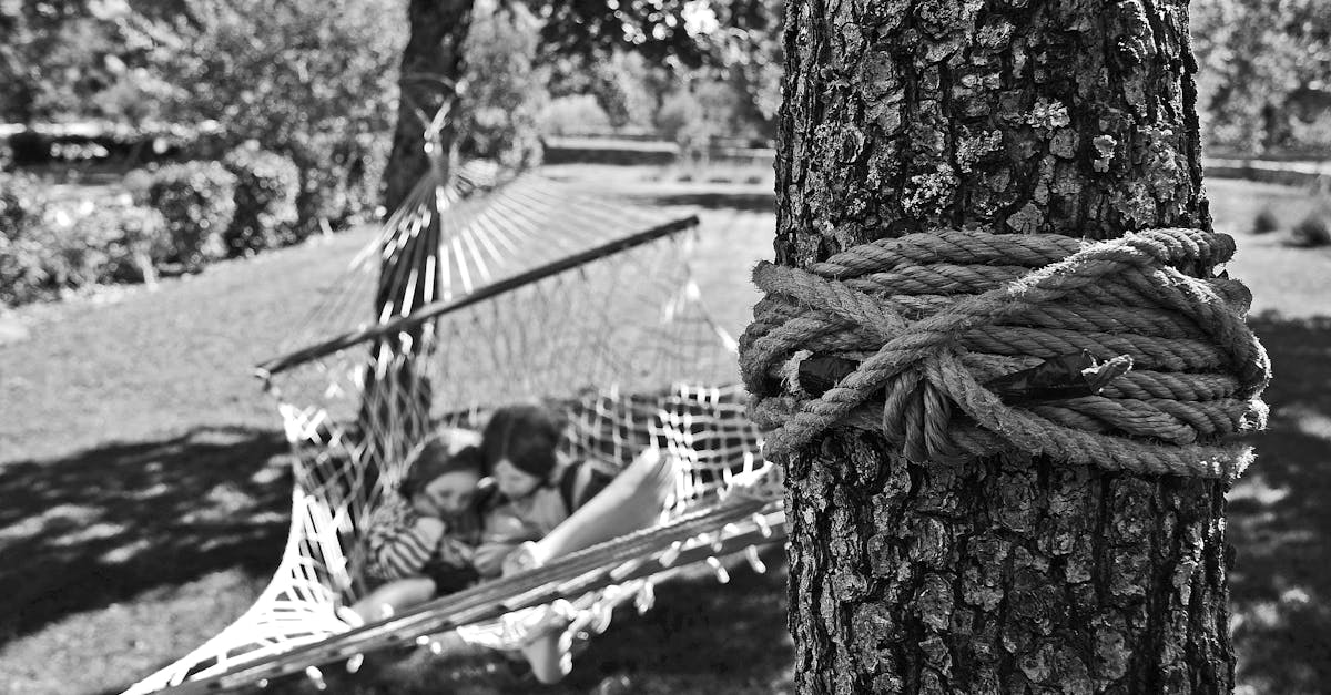 découvrez les paysages enchanteurs et la richesse culturelle de la région languedoc-roussillon. entre mer méditerranée et montagnes, cette destination offre des sites historiques, des vins réputés et une gastronomie savoureuse. partez à l'aventure au cœur d'une nature préservée et laissez-vous séduire par l'authenticité du sud de la france.