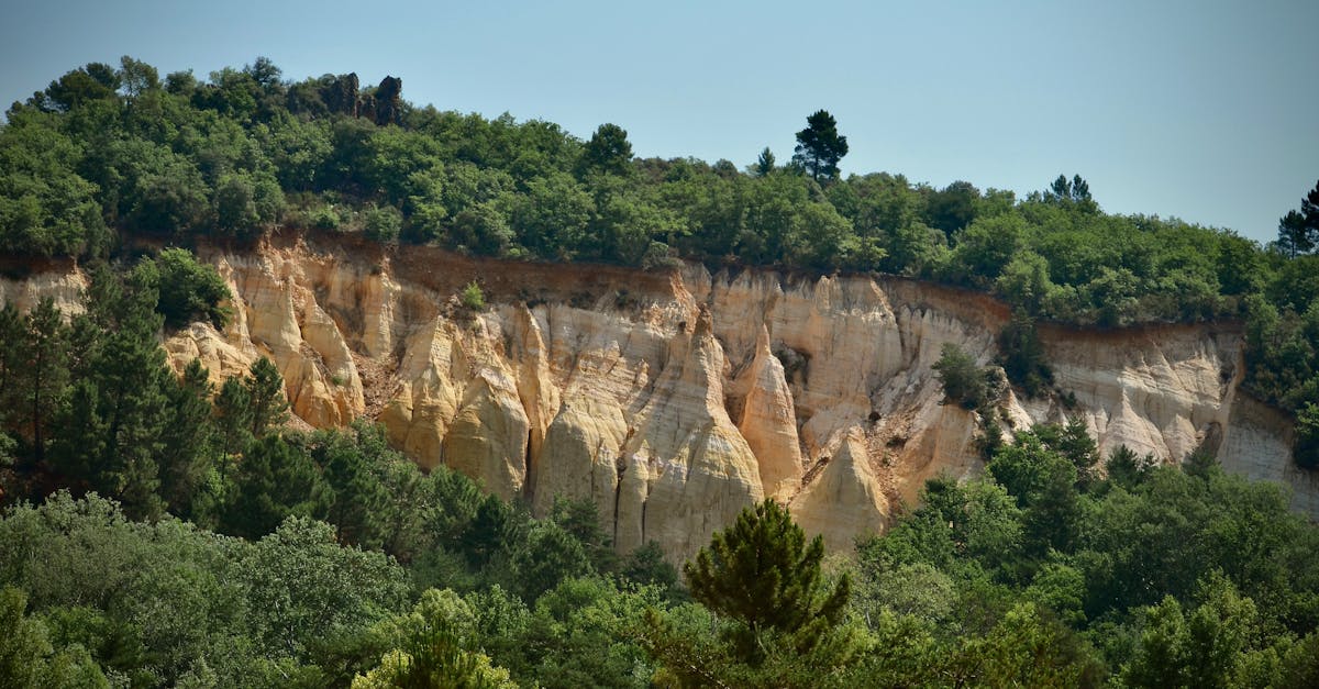 explorez la région languedoc-roussillon, un joyau du sud de la france, célèbre pour ses paysages diversifiés, ses plages ensoleillées, ses vignobles renommés et son riche patrimoine historique. découvrez les trésors cachés, la gastronomie locale et les activités en plein air qui font de cette destination un incontournable pour les amoureux de la nature et de la culture.