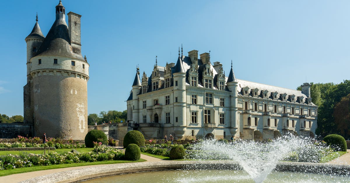 Khám phá vẻ đẹp mê hồn của Loire, một vùng nổi tiếng với những lâu đài hùng vĩ, những vườn nho đẹp như tranh vẽ và cảnh quan bình dị. Hãy bắt đầu cuộc phiêu lưu ở trung tâm Thung lũng Loire, nơi lịch sử, văn hóa và ẩm thực giao thoa.