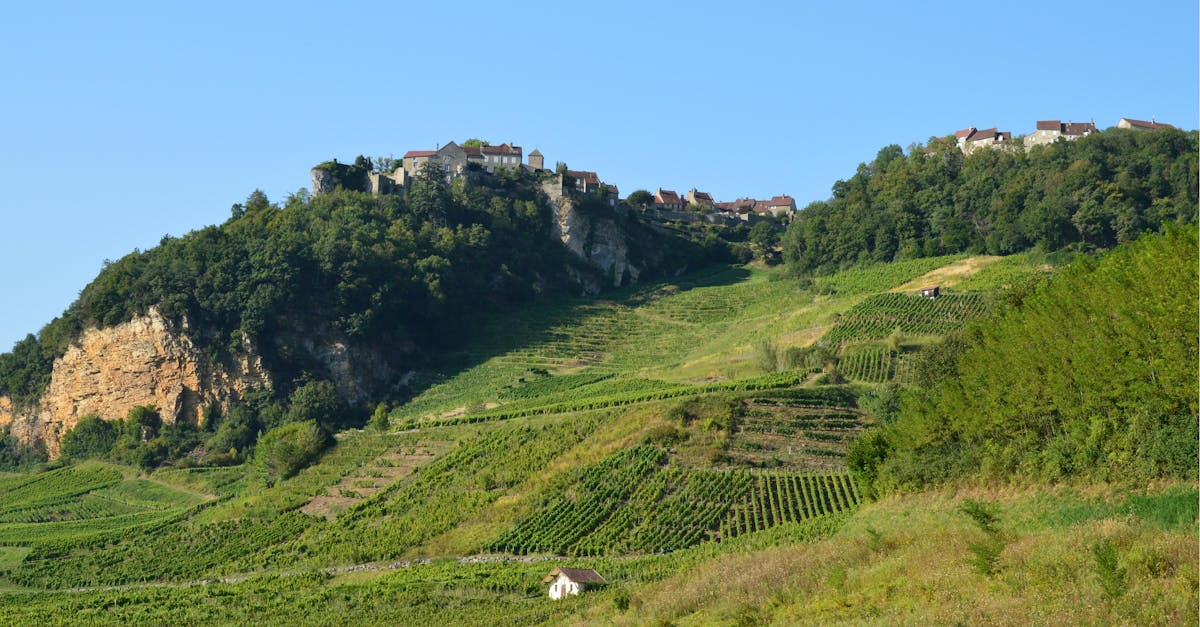 🌱 Snižování chemických vstupů pro zachování biodiverzity