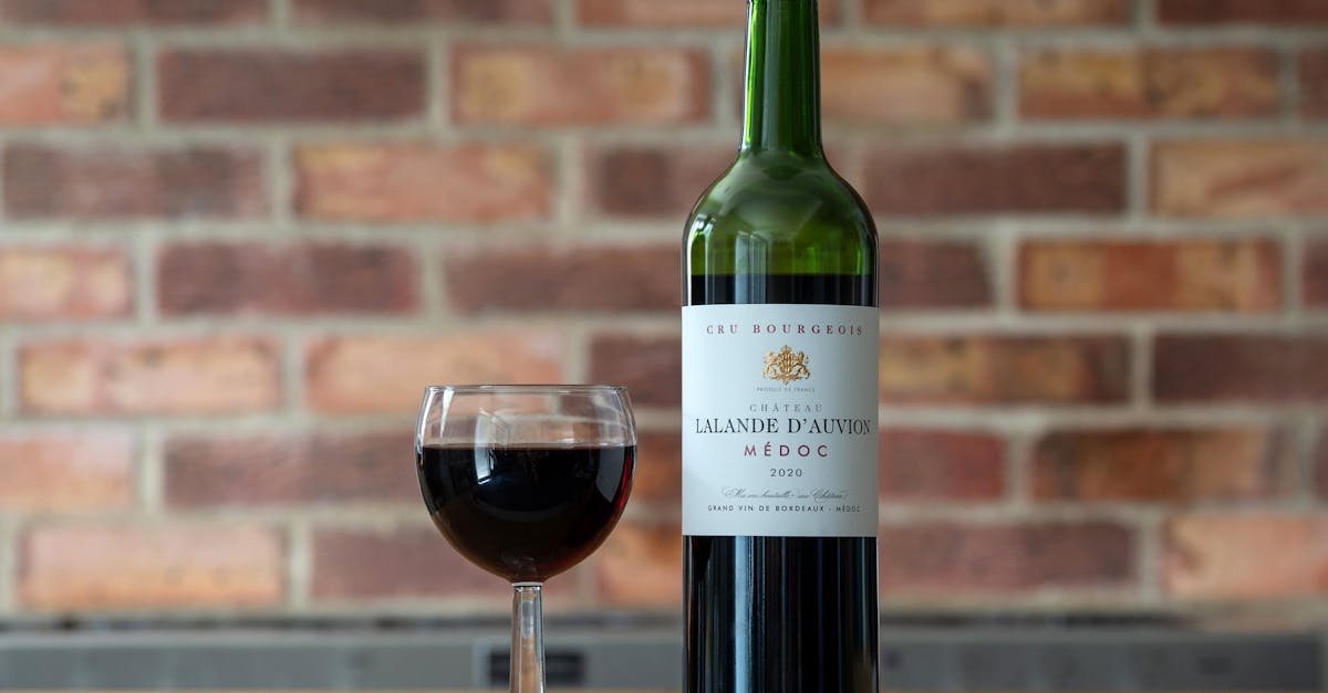 découvrez les nombreux bienfaits des médicaments, des traitements innovants aux conseils pratiques pour une santé optimale. informez-vous sur l'importance des médocs dans la prévention et le soin des maladies.