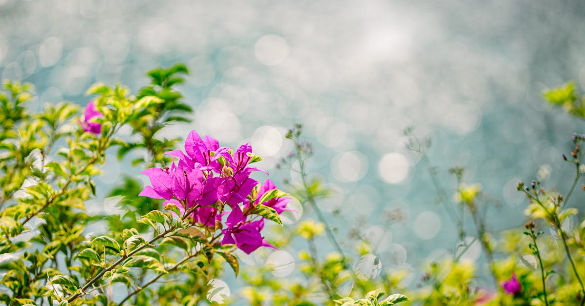 Producción de alcohol, azúcares parciales remanentes