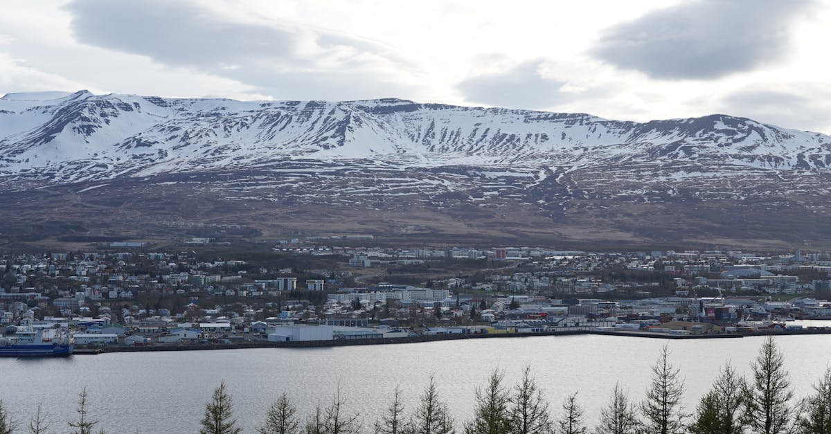 Quais são os vinhos imperdíveis do Vale do Rhône Norte? Uma visão geral detalhada
