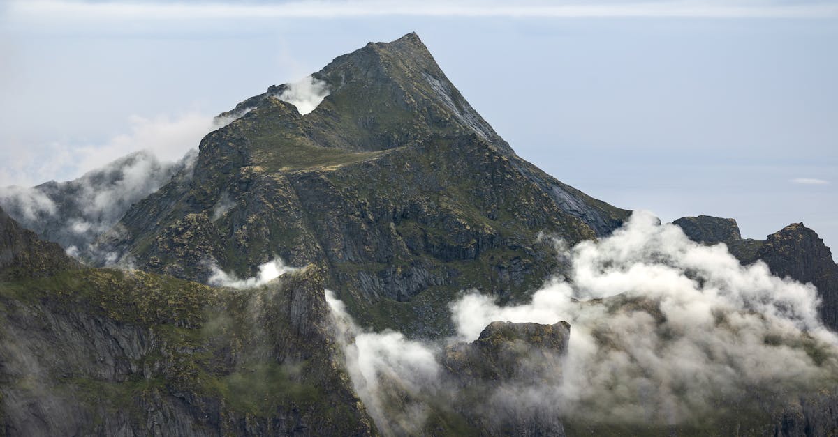 découvrez les paysages époustouflants du northern rhône, où les vignobles s'étendent à perte de vue et où la gastronomie locale ravira vos papilles. plongez dans cette région riche en histoire et en culture, idéale pour les amateurs de vin et de nature.