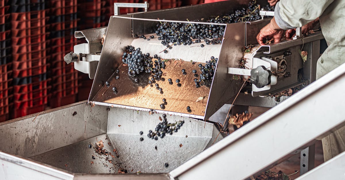 Aron labaw pa sa pagsugod, ang mga espesyal nga kurso o mga pagbiyahe sa pagtilaw magamit, sa France ug sa gawas sa nasud. Pananglitan, usa ka pasiuna nga adlaw sa