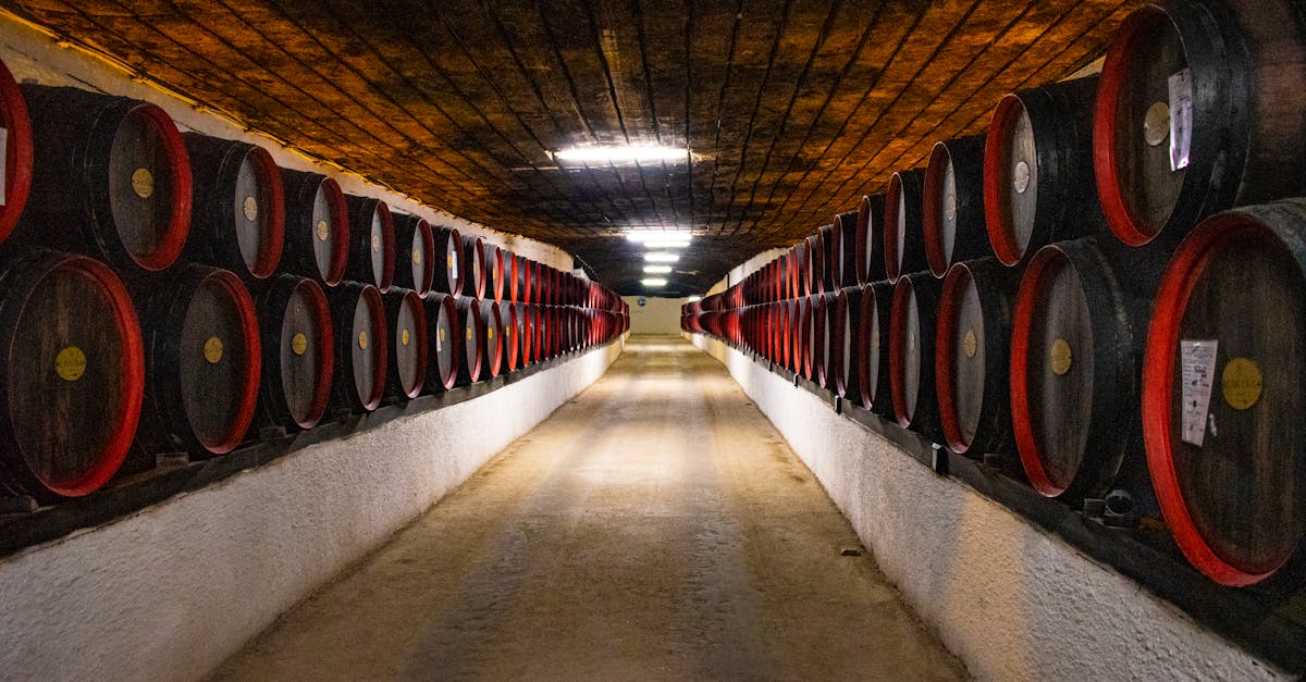 découvrez l'oenologie, l'art et la science du vin. apprenez les techniques de vinification, les variétés de raisins, et comment apprécier chaque gorgée. plongez dans l'univers fascinant des saveurs et des arômes.